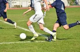 上半年财报,解析,二季度业绩,ebpay,钱包官网,ebpay下载,ebpay官网