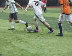 MLGO,微算法科技,借助共识算,ebpay,钱包官网,ebpay下载,ebpay官网