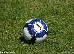 水质铁含量,标准检测限,值及重金属,ebpay,钱包官网,ebpay下载,ebpay官网