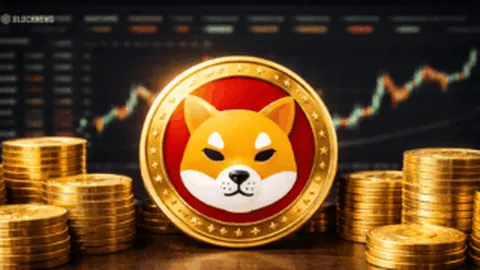 欧足联快速讨论疫情，欧洲杯赛程受举办地影响