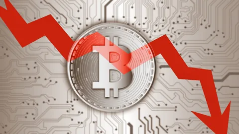 2025中秋晚会湖南卫视阵容揭晓 湖南卫视芒果TV同步直播