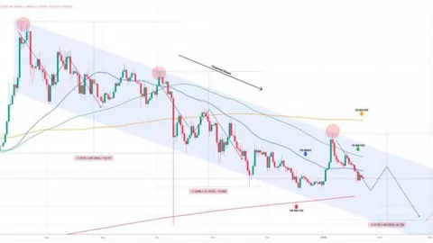 少年团体天府解散，经纪公司致谢监督之声