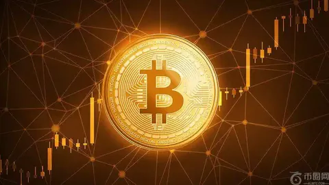 郑钦文重返世界TOP7，袁悦刷新个人最佳成绩